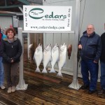 Halibut Fishing Charter